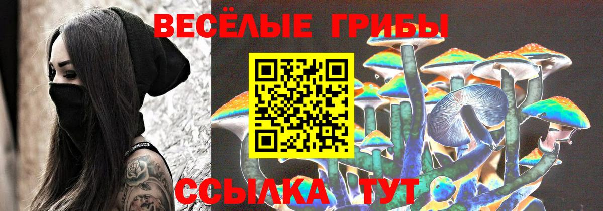Галлюциногенные грибы мицелий Гуково