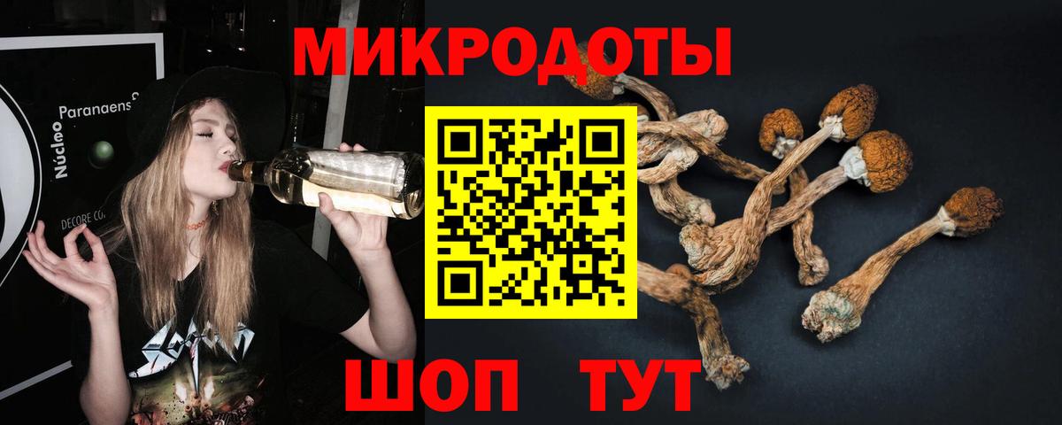 Псилоцибиновые грибы MAGIC MUSHROOMS  Вход с VPN  Гуково  Псилоцибиновые грибы Psilocybe 
